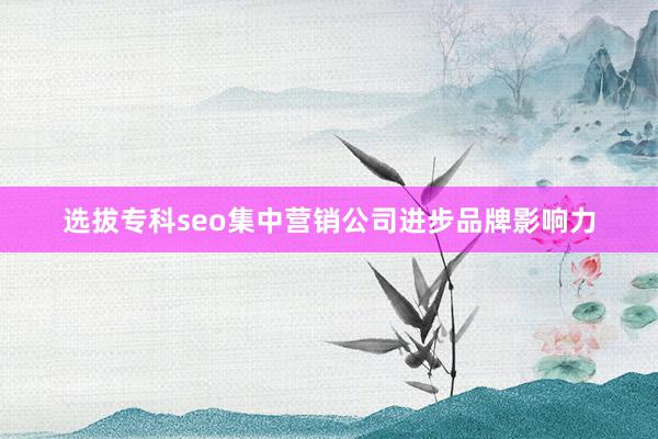 选拔专科seo集中营销公司进步品牌影响力