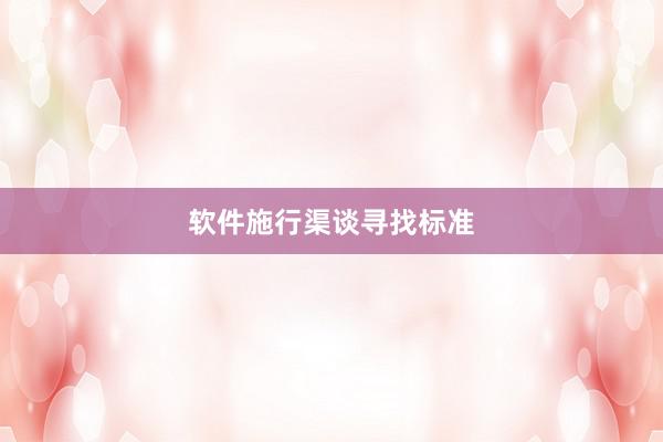 软件施行渠谈寻找标准