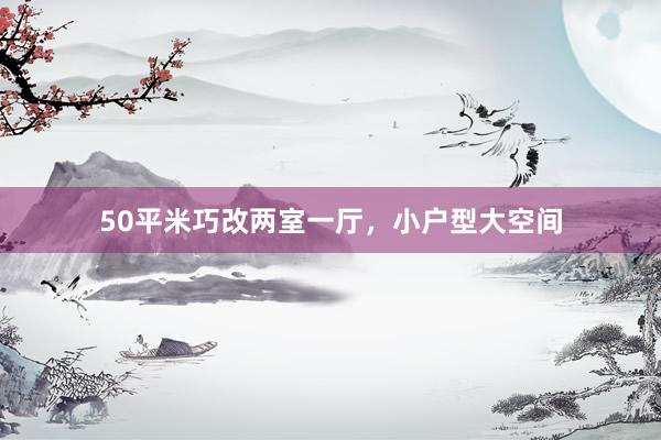 50平米巧改两室一厅，小户型大空间