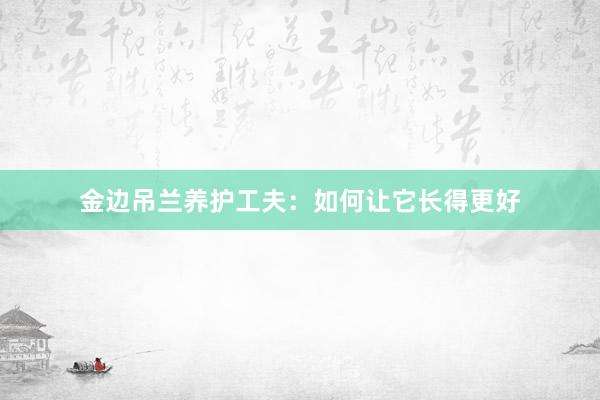 金边吊兰养护工夫：如何让它长得更好