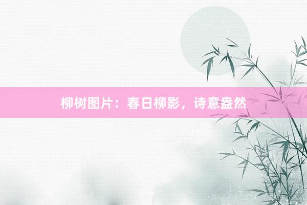 柳树图片：春日柳影，诗意盎然
